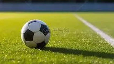 金世瑛勇夺美巡赛高尔夫冠军，刘钰携手他人共列第九