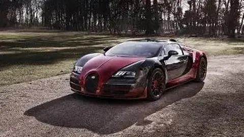 云南龙陵发现珍稀小灵猫踪迹