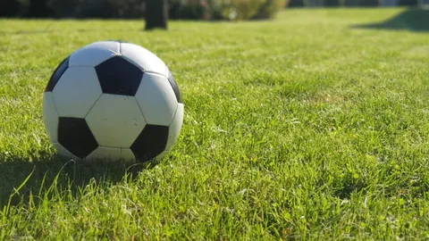 1xbet官网入口 产品 100433 1ai