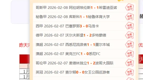 揭秘波兰超：探寻脆弱部件之谜，深入剖析攻防核心战术！